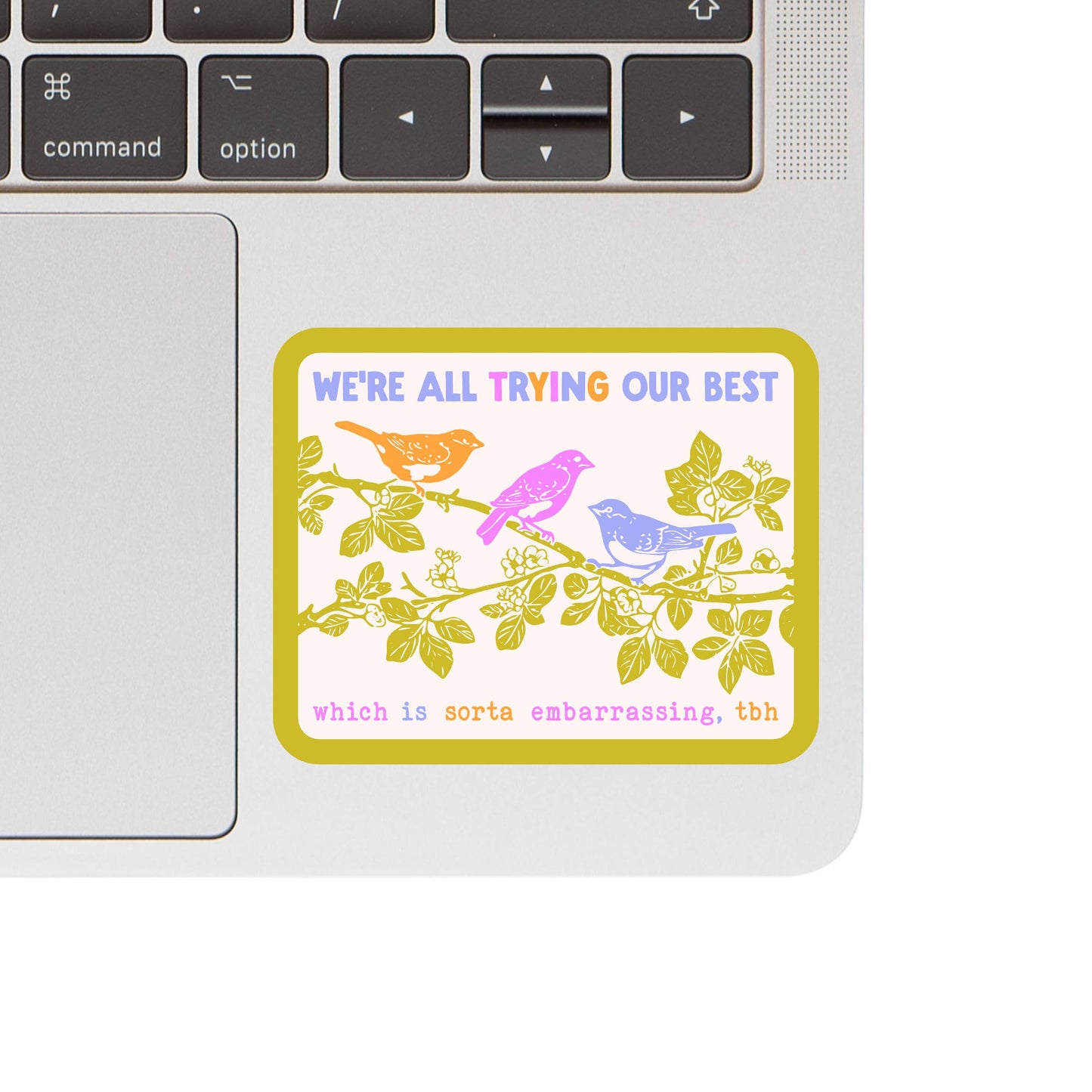 Sarcastic Bird Motivational Funny High Quality Vinyl Sticker