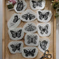 Butterflies and Moths DIY Stick and Stitch Embroidery Stickers