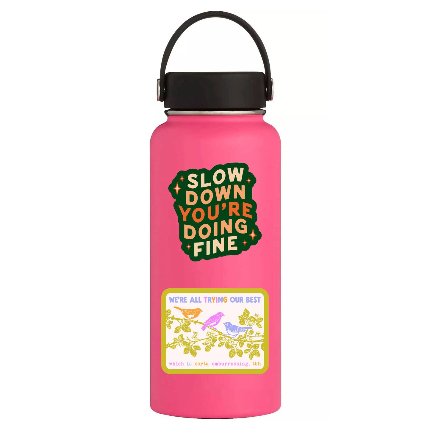 Sarcastic Bird Motivational Funny High Quality Vinyl Sticker